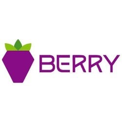 Berry DataLOGO