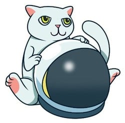 Mooncat CATLOGO