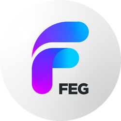 FEG BSC (OLD)LOGO