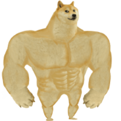 Swole DogeLOGO