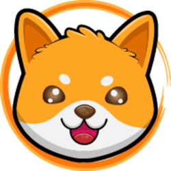 Doge Floki CoinLOGO