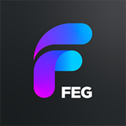 FEG (OLD)LOGO