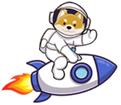 Floki RocketLOGO