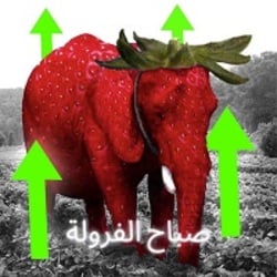 Strawberry ElephantLOGO