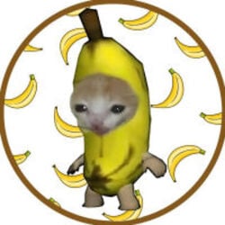 BananaCatLOGO