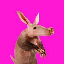 AardvarkLOGO