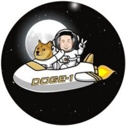 DOGE-1 Moon MissionLOGO