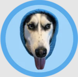 DOGWIFHOODLOGO