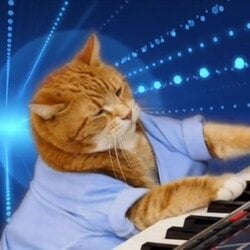 Keyboard Cat (Base)LOGO